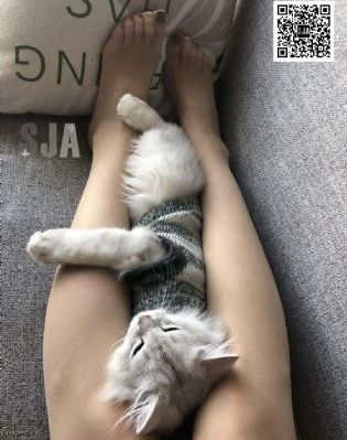 超级国王游戏_BD韩语视频大全